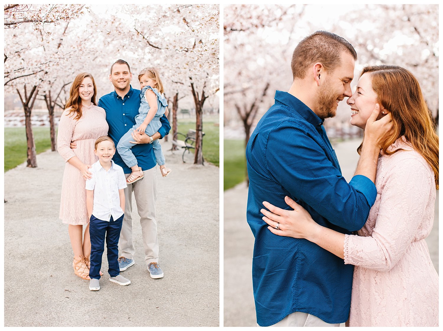 spring blossoms family portrait session