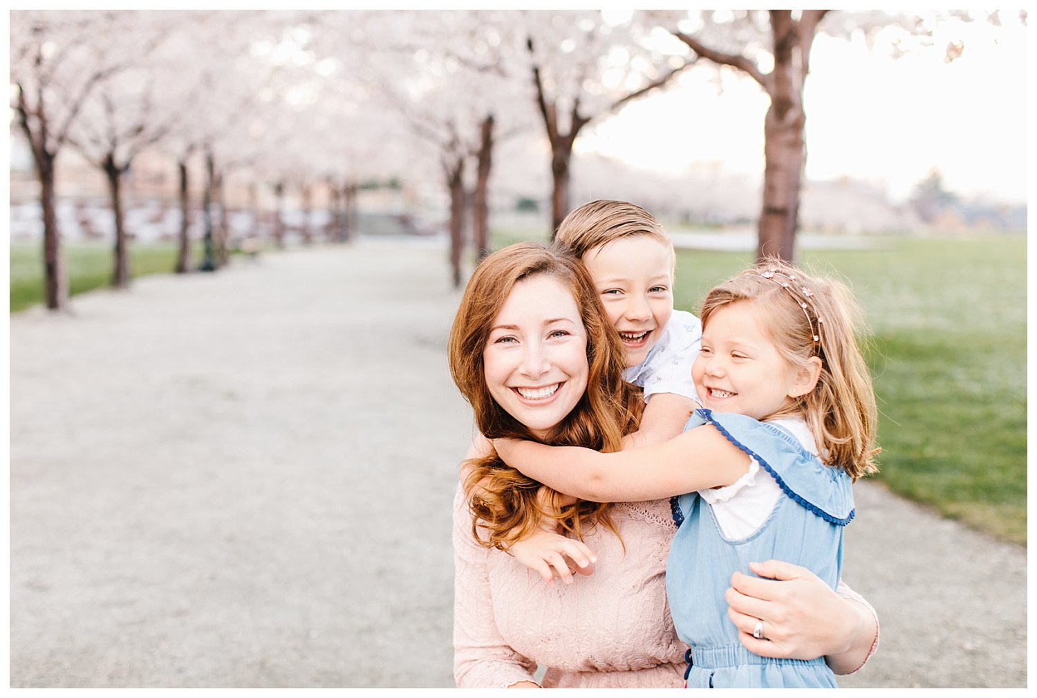 cherry blossom family photos