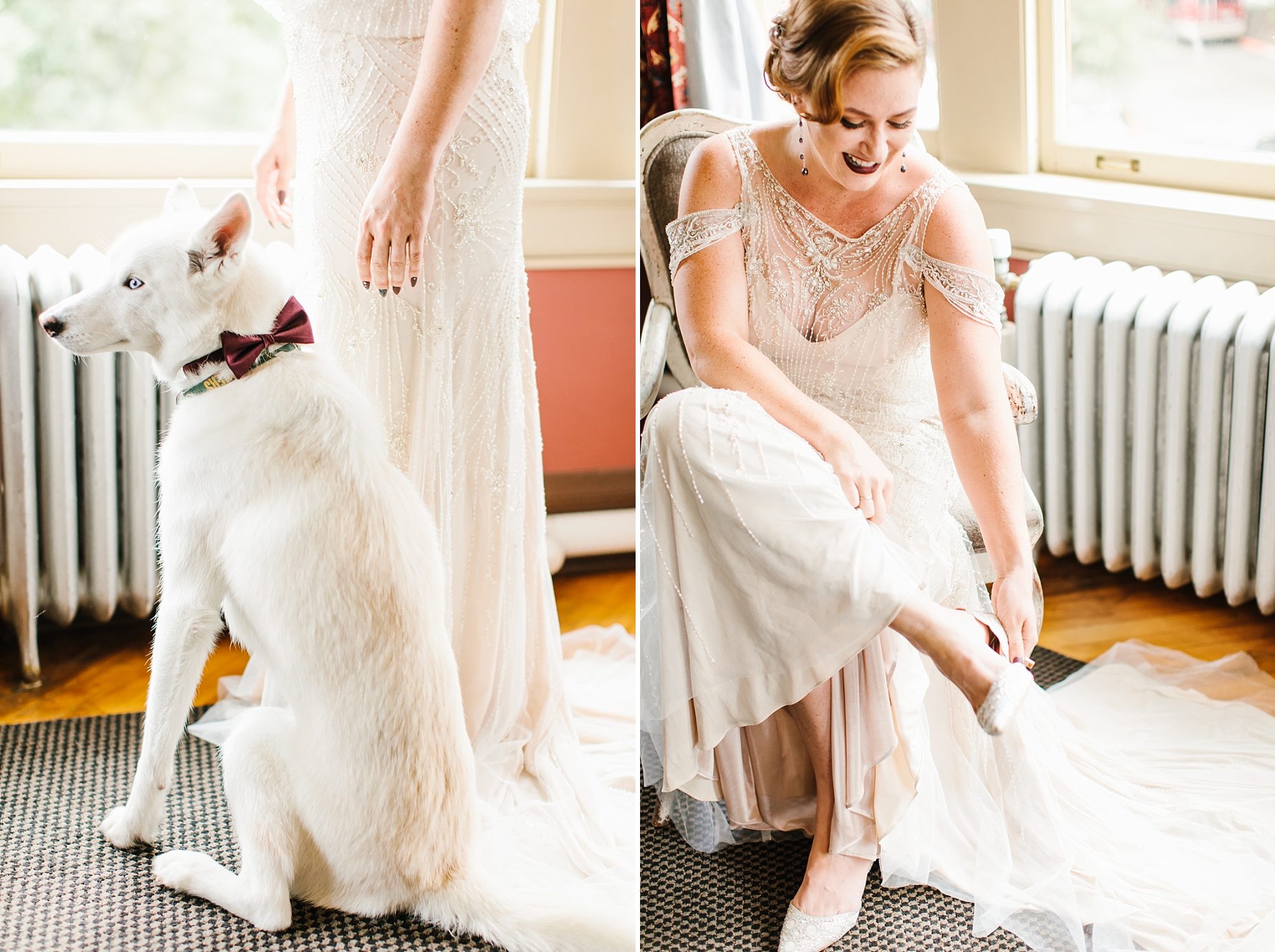 Bride brings her husky dog to wedding